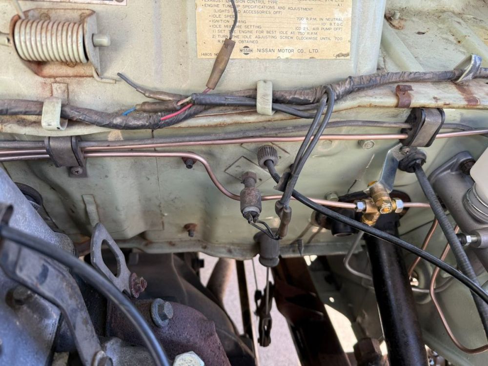 IMG_6021.thumb.JPEG.1b751d9aae0749c6bfc9