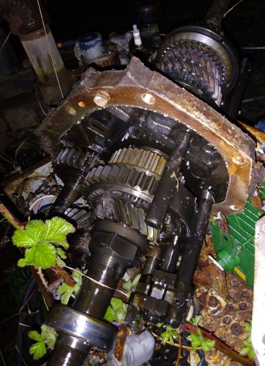 z 1000009841.JPG
