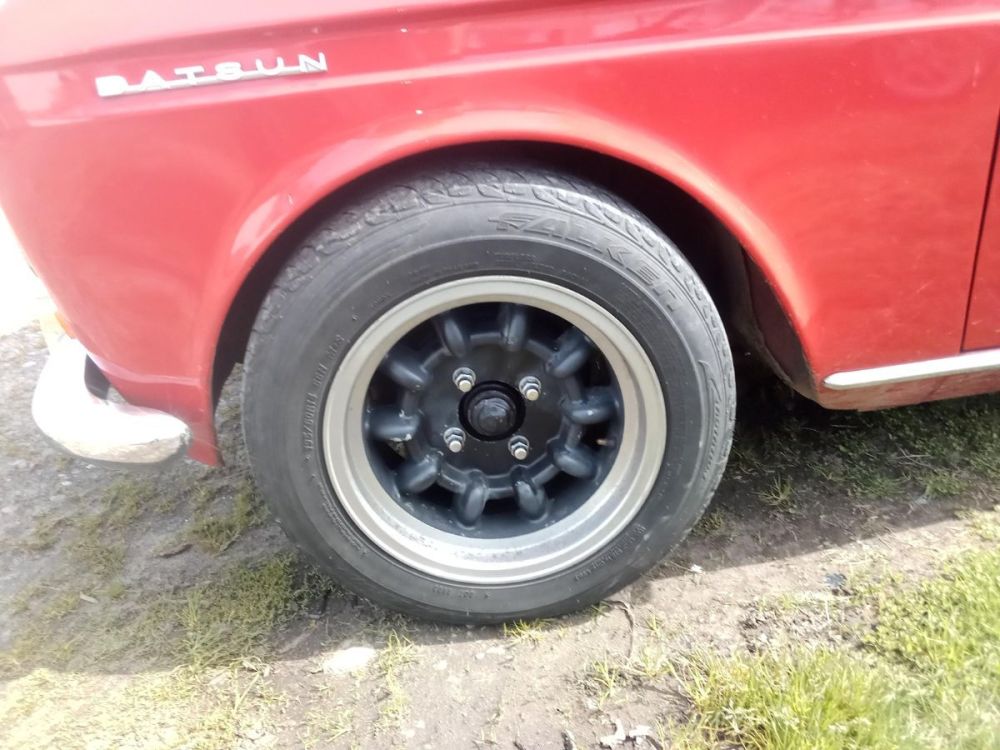 falken.thumb.jpg.3ccc635deb2f414a15cbc630b83b3f9e.jpg