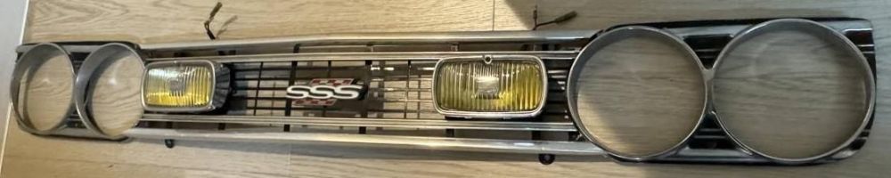 grillle_foglamps.thumb.jpg.dafd471664694e40d91bc4affa8da059.jpg