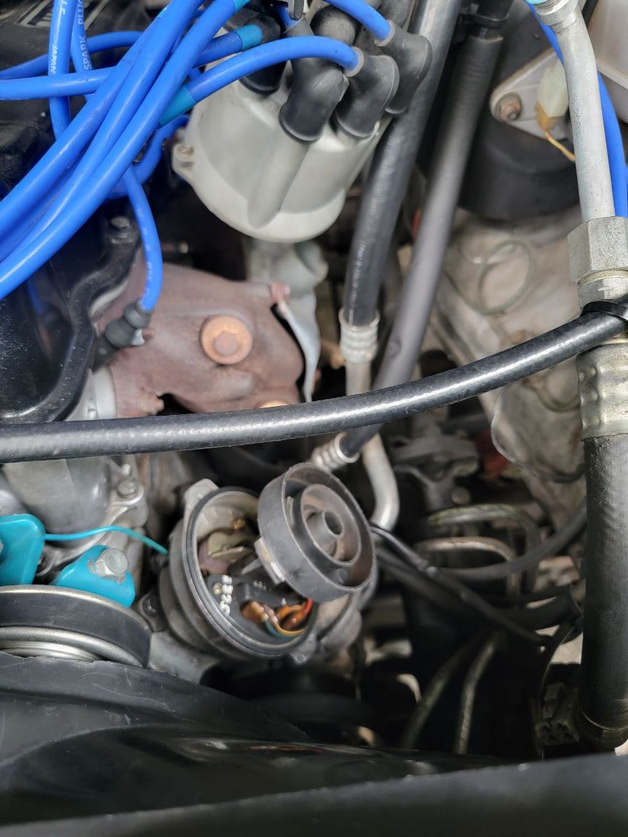 What distributor does a 1983 Nissan 720 King Cab Deluxe 4x4 with a