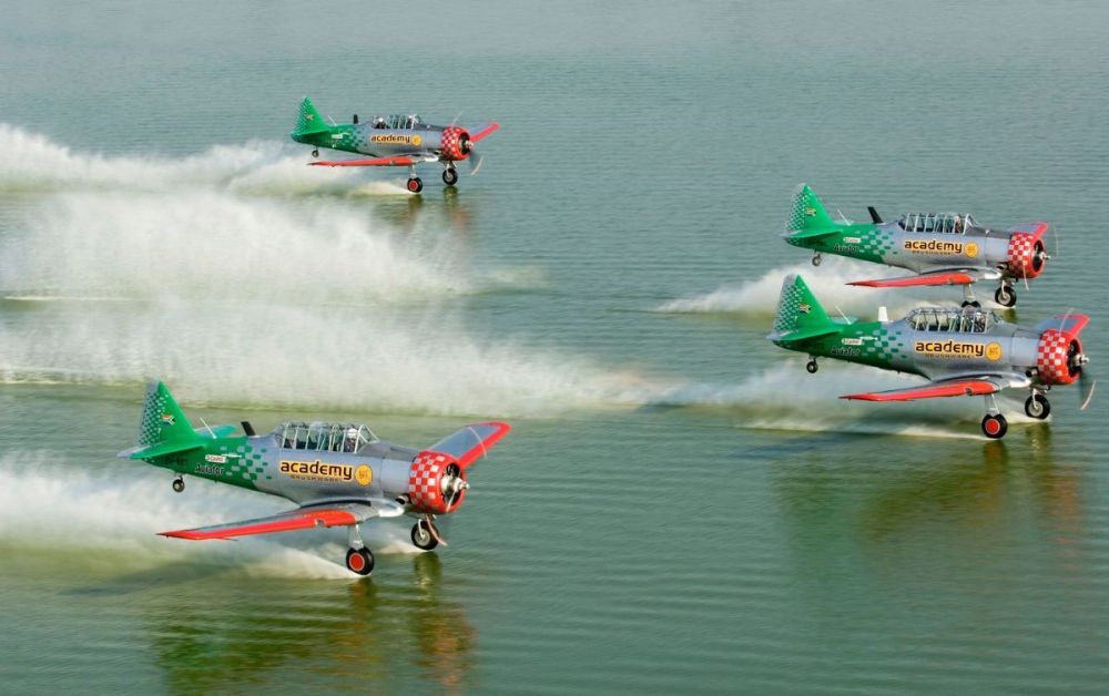 T-6 Texan South African Harvard Flying Lions (2).jpg