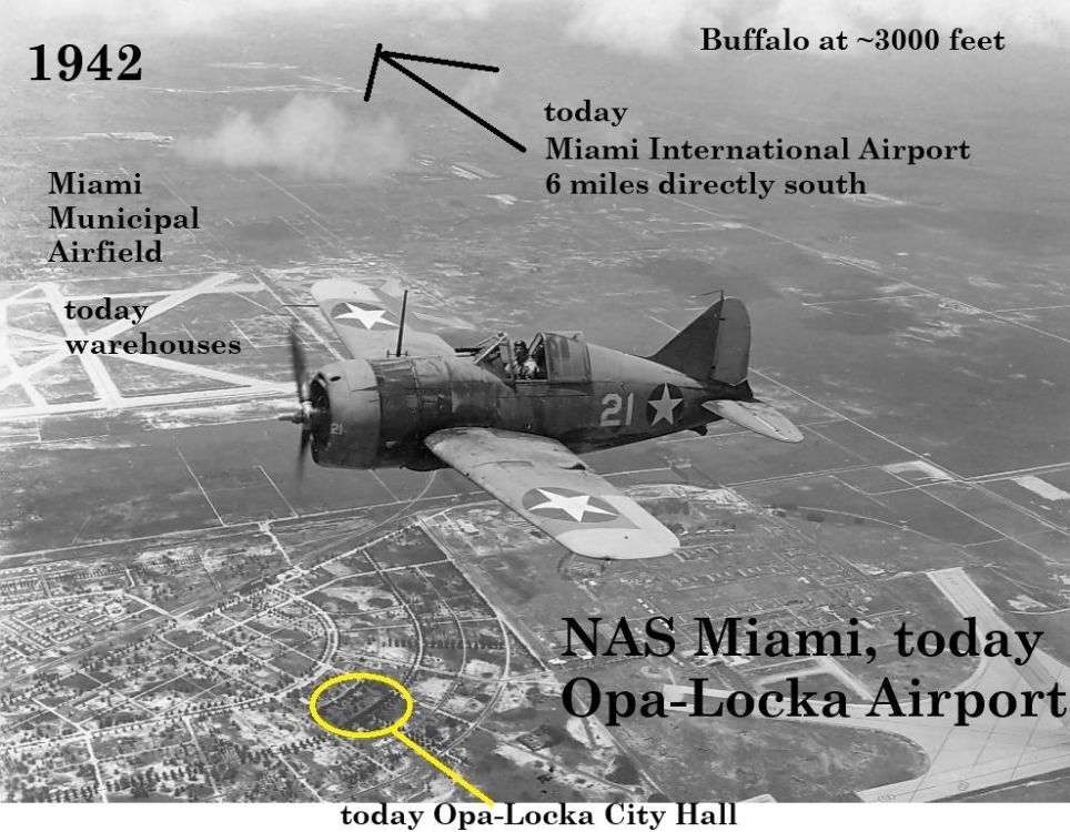 F2A Brewster Buffalo photographed near NAS Miami Florida, 08-xx-42 (2).jpg