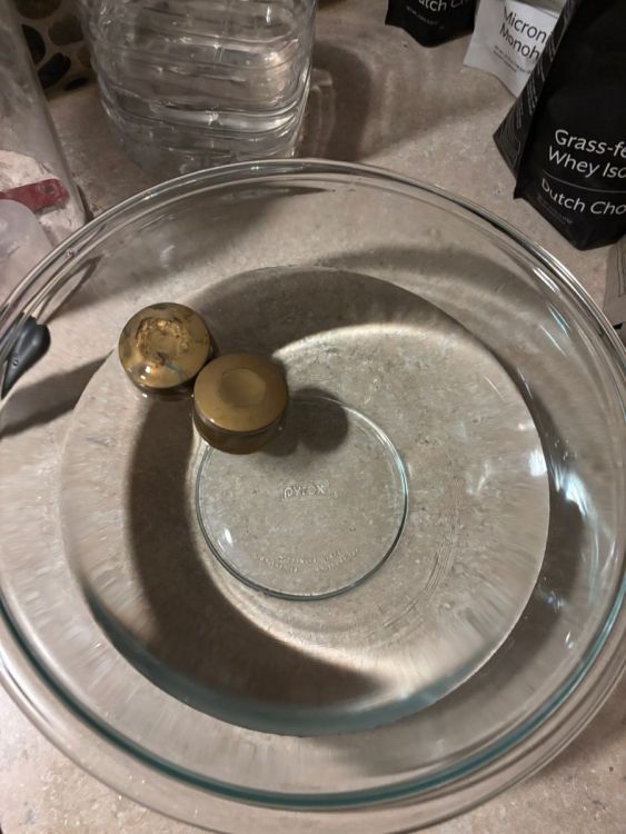 Floats floating.jpeg