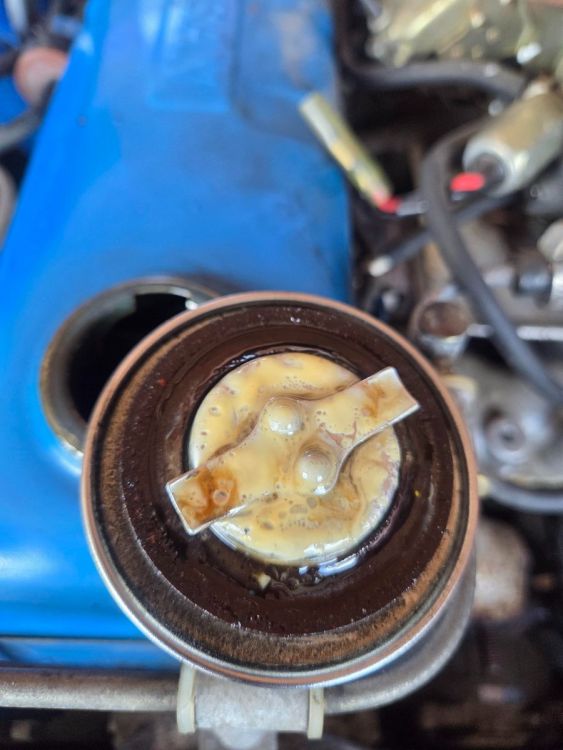 Datsun Head Gasket 2.jpg