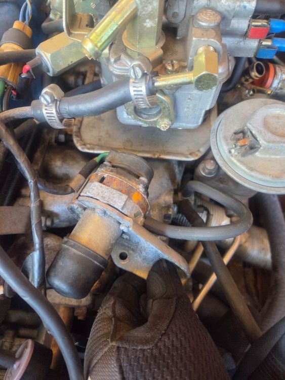 Datsun Head Gasket 3.jpg