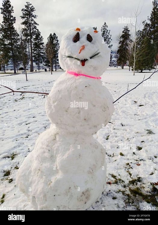 a-snowman-outdoors-on-a-winter-day-in-canada-2F7GXT8.jpg