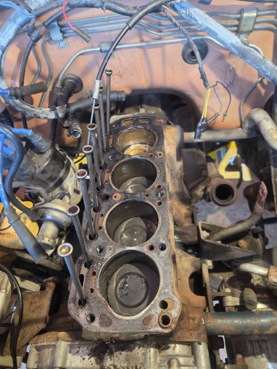 Datsun Block.jpg