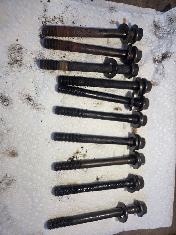 Datsun Head Studs.jpg