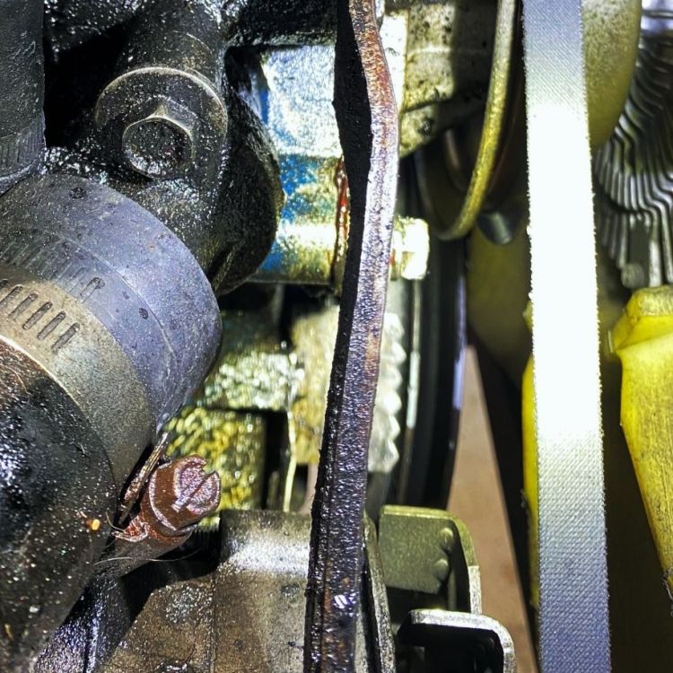 crank_pulley_detail.thumb.jpg.787768873dcb62e70854bb047af54641.jpg