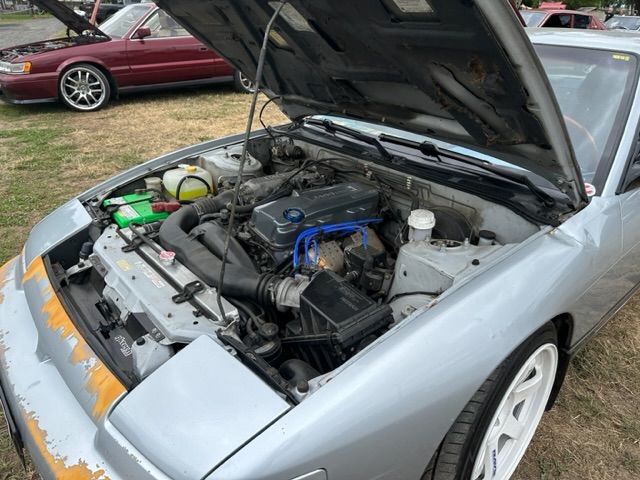 IMG_7404.jpeg.b17b22155d2b78b811817897343827fc.jpeg