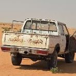 SAAN455